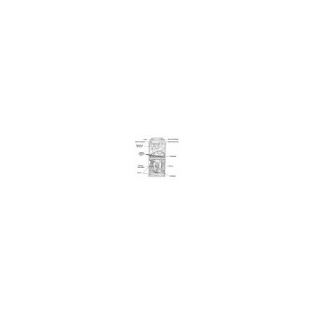 CALEFACCION CENTRAL RGPN-12EARJR 125000 - Envío Gratuito